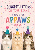 Load image into Gallery viewer, Funny Cats in Party Hats Appaws Congratulations Card