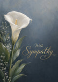 Load image into Gallery viewer, Sympathy - Personalised Card — with punch holes
