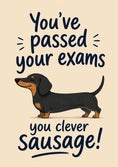 Load image into Gallery viewer, Funny Clever Sausage Dachshund Congratulations Card
