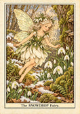 Load image into Gallery viewer, Snowdrop Fairy Floral Birthday Card for Her
