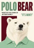 Load image into Gallery viewer, Funny Polo Bear Mint Home Birthday Card
