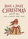 Load image into Gallery viewer, Robin Red Breast Festive Gift Birthday Card
