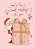 Load image into Gallery viewer, Santa Special Package Pink Birthday Card for Her
