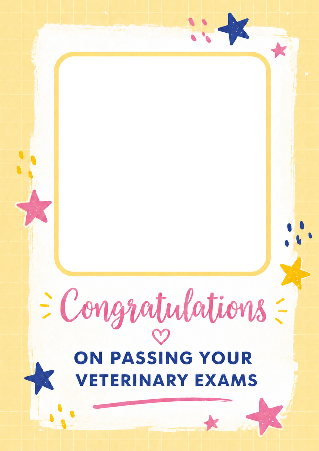 Colourful Stars Passing Veterinary Exams Photo Upload Congratulations Card for Her