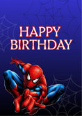 Load image into Gallery viewer, Spiderman Action Hero Kids Birthday Card for Him
