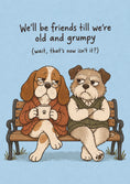 Load image into Gallery viewer, Funny Grumpy Old Dogs on Bench Best Friend Birthday Card

