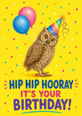 Load image into Gallery viewer, Funny Party Owl Hip Hip Hooray Birthday Card
