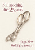 Load image into Gallery viewer, Funny Still Spooning Silver Spoons Verse Wife 25th Anniversary Card for Wife
