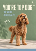 Load image into Gallery viewer, Funny You're Top Dog Cockapoo Birthday Card
