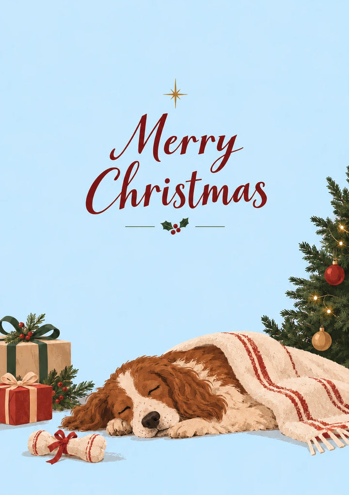 Sleeping Spaniel Under Blanket Christmas Card for Her