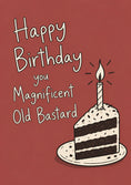 Load image into Gallery viewer, Funny Magnificent Old Bastard Humorous Birthday Card for Him
