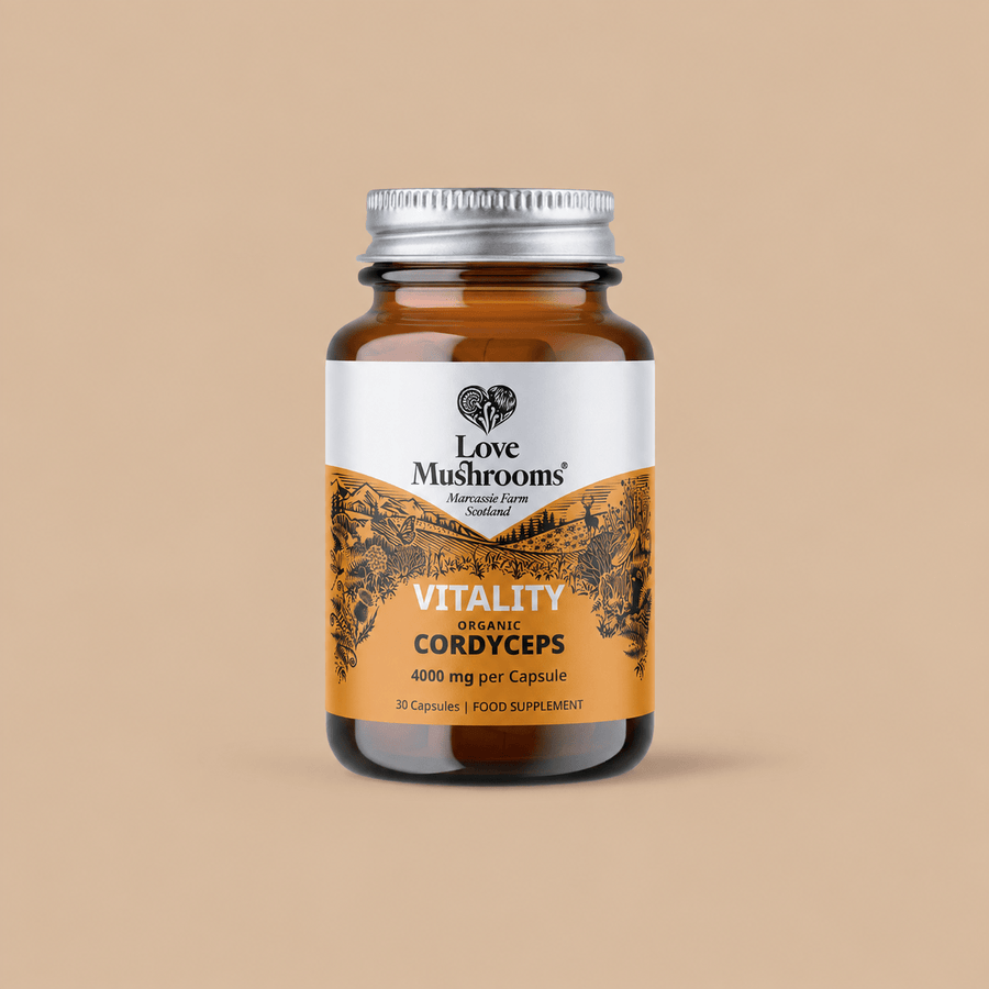 Love Mushrooms Cordyceps
