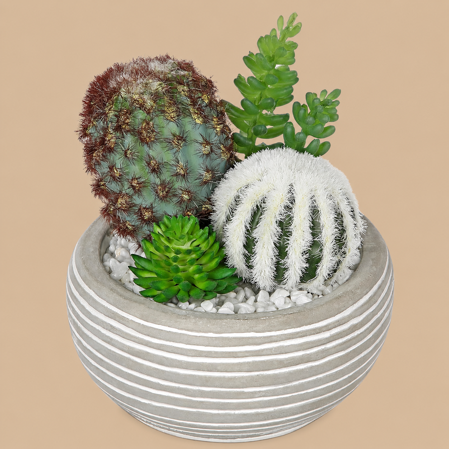 Small Artificial Cactus & Succulent Plants in Cement Pot - Type 1