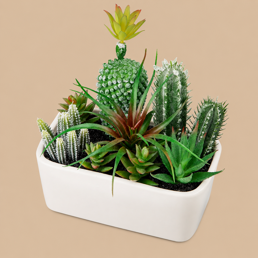 Assorted Artificial Succulent & Cactus Plants in Ceramic White Pot