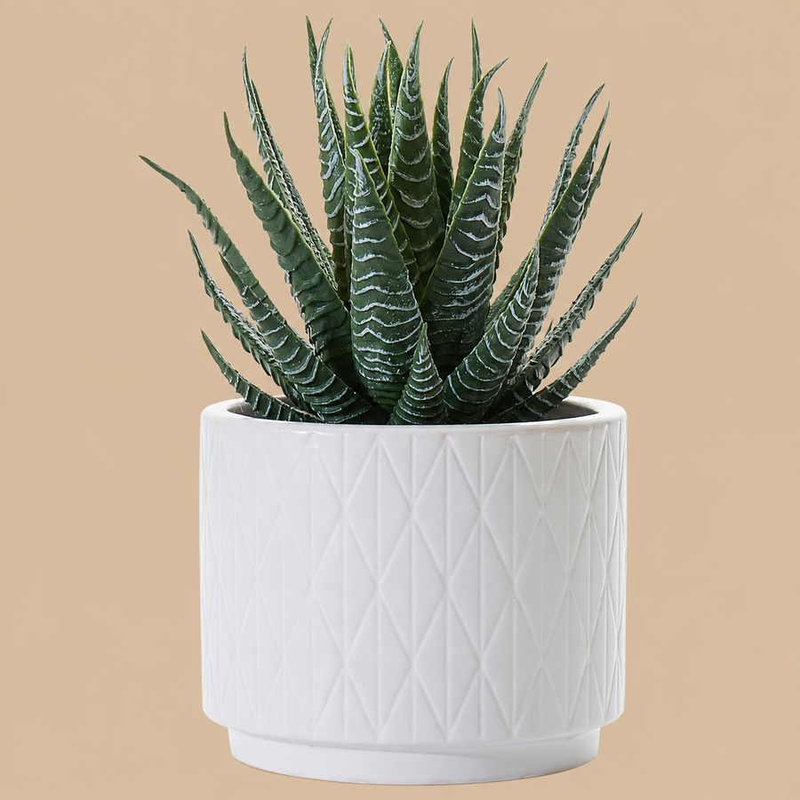 Artificial Aloe Plant in White Ceramic Pot – 18cm