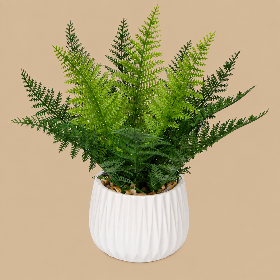 Artificial Boston Fern Plant in  White Ceramic Pot – 32cm