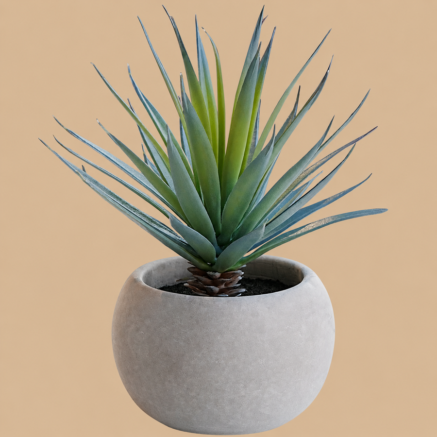 Artificial Agave Plant in Cement Pot  7.87 Inch - 1