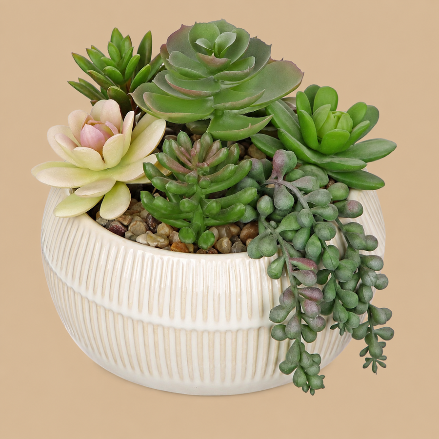 Artificial Succulent Arrangement in Ceramic Pot  14cm - Type 2