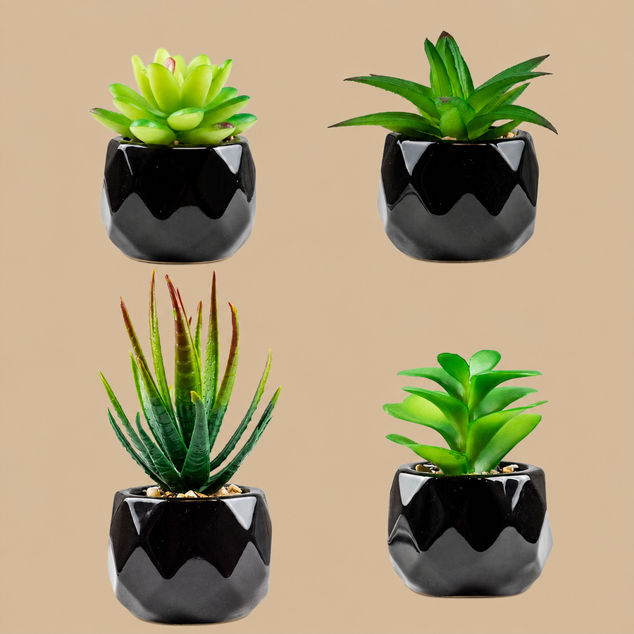 Artificial Succulent Plants in Black Ceramic Pots – Set of 4