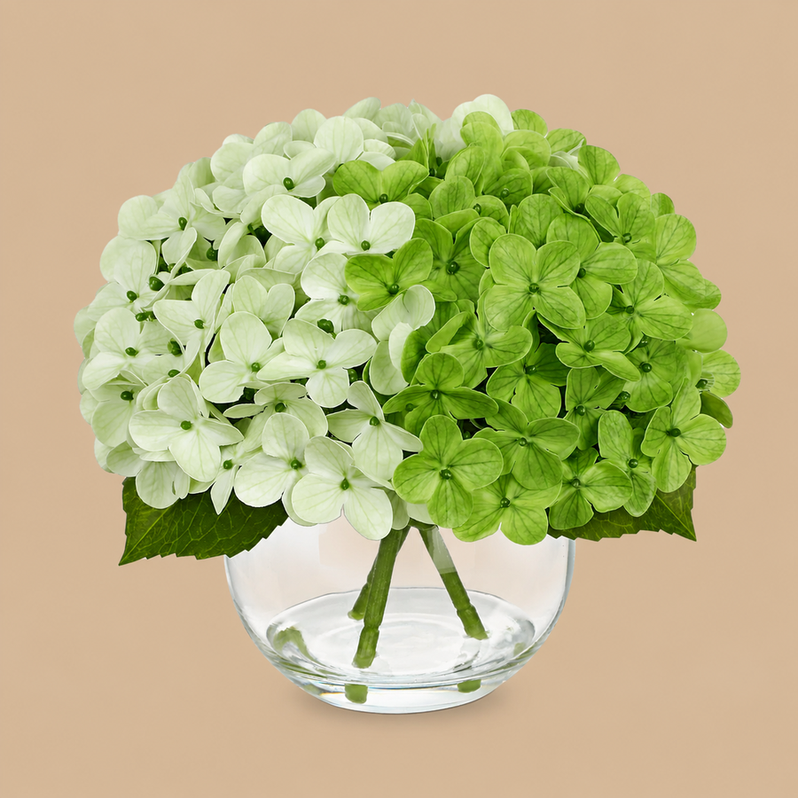 Green Real-Touch Artificial Hydrangea Arrangement with Glass Vase – 7 Inch