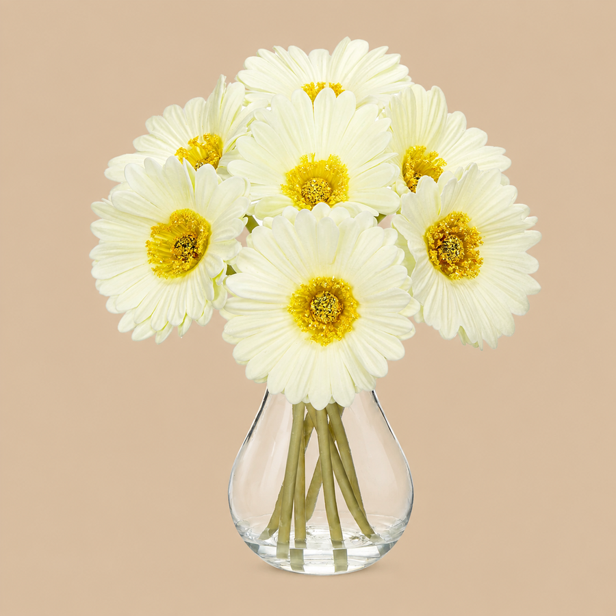 White Artificial African Daisy Arrangement with Glass Vase – 7 Pieces