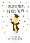 Load image into Gallery viewer, Funny Pencil Graduate Passing Exams Congratulations Card
