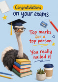 Load image into Gallery viewer, Funny Graduation Ostrich in Cap Congratulations Card
