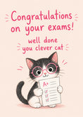 Load image into Gallery viewer, Clever Cat with A+ Results Congratulations Card

