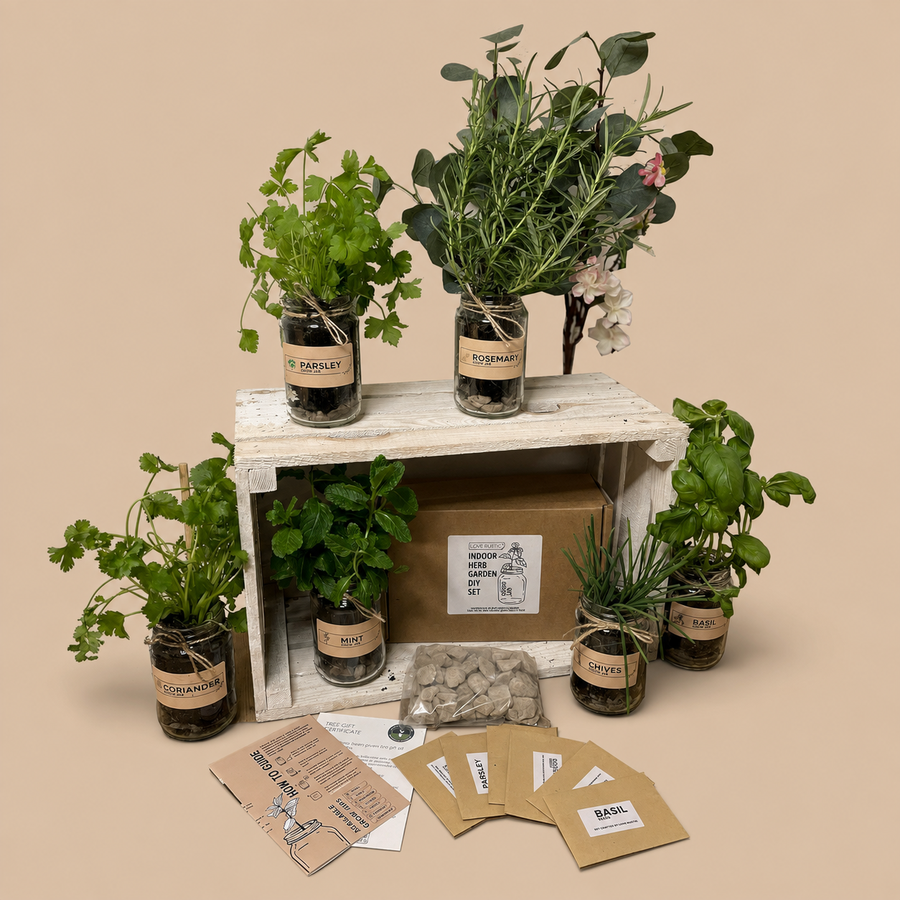 Set of 3: Indoor Herb Garden in Jars Rustic Grow Your Own Kit