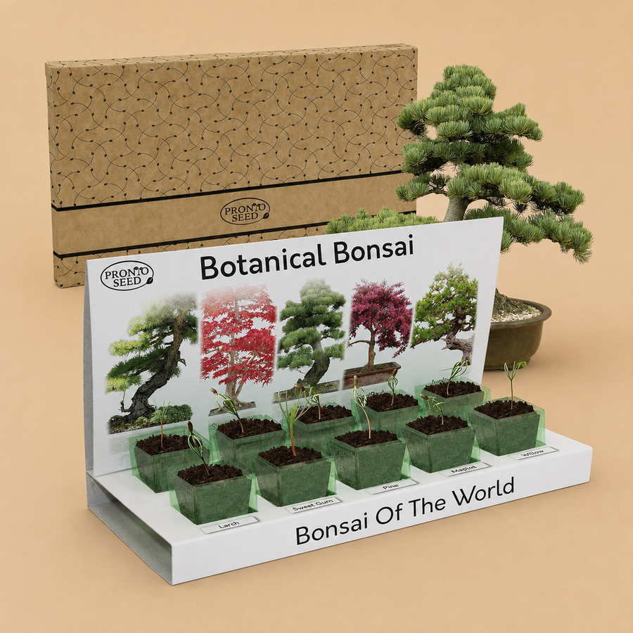 Pronto Seed Botanical Bonsai: Grow Your Own Bonsai Tree Kit