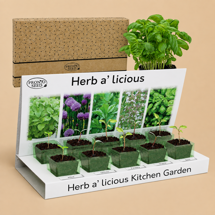 Pronto Seed Herb a'licious: Grown Your Own Herbs Kit (5 Varieties)