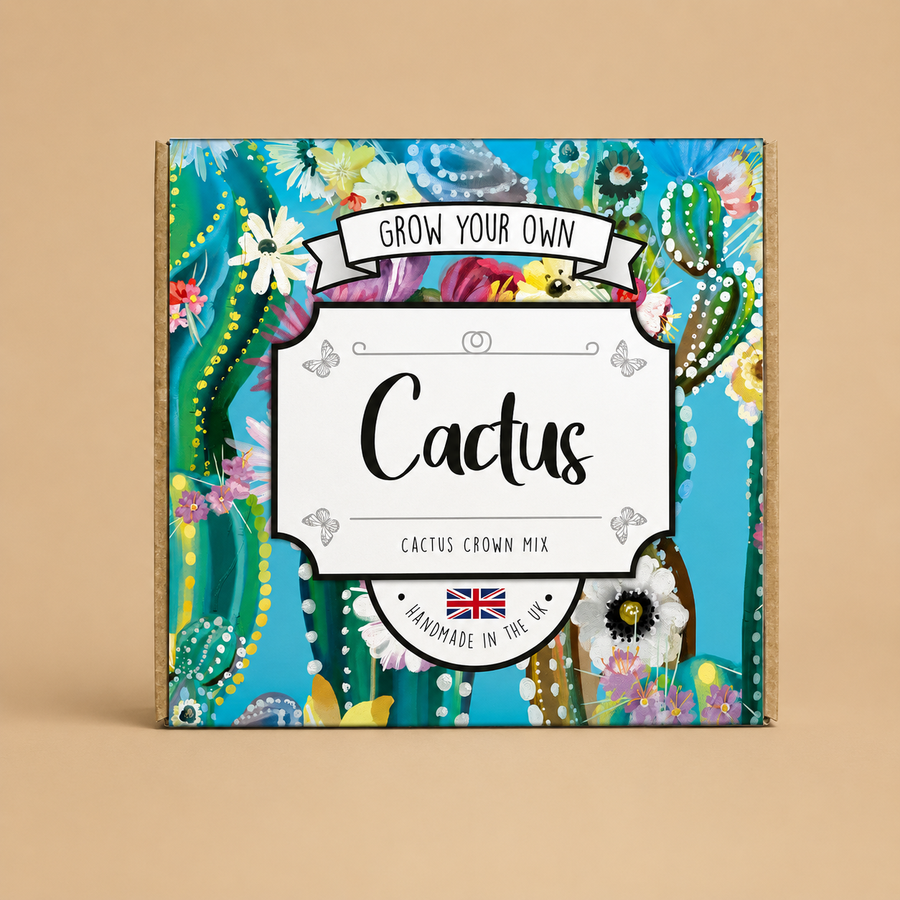 The Lovely Stuff Company Grow Your Own Flowering Cactus Kit