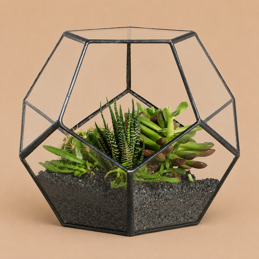 NCYP Small No Door Glass Geometric Terrarium Planter, 17.5x17.5x15 cm - Black