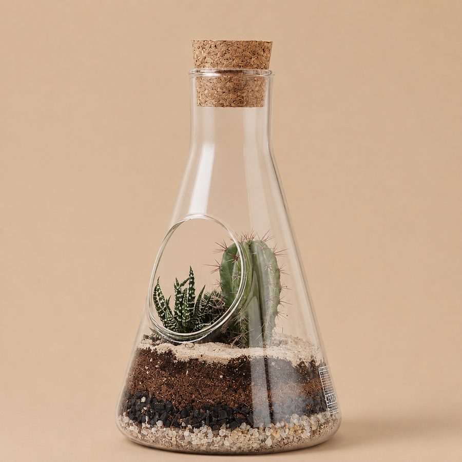 Suck UK Terrarium Kit