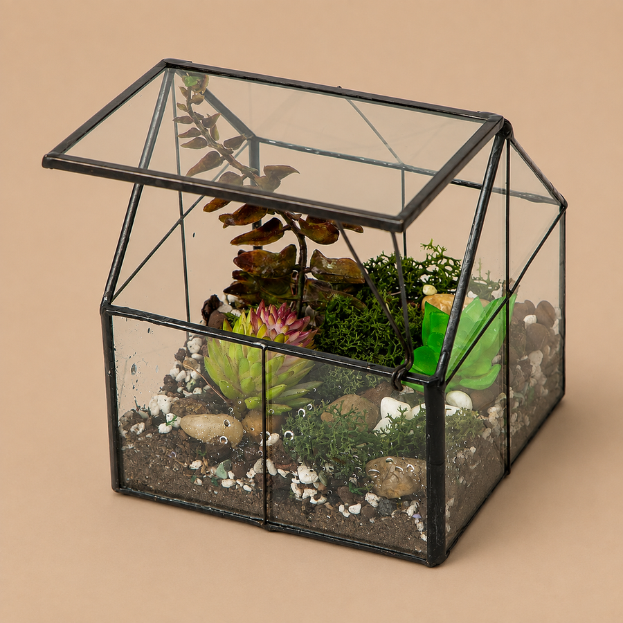 LIMOR 4.3" House-Shaped Succulent Glass Terrarium