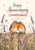 Load image into Gallery viewer, Robin Redbreast Pair on Fence Anniversary Card for Grandparents
