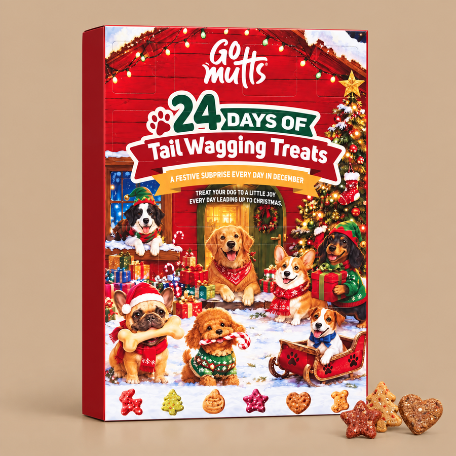 GoMutts Treats Christmas Advent Calendar for Dogs