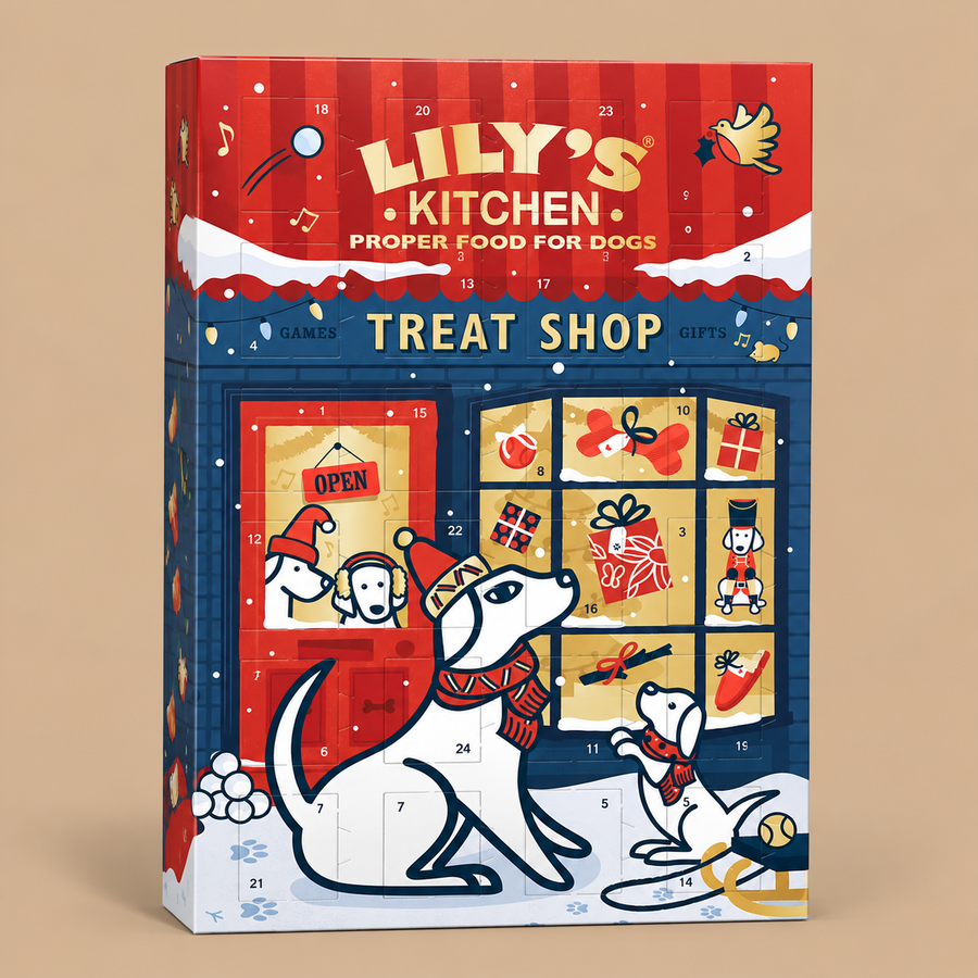 Lily's Kitchen Advent Calendar Treats for Adult Dogs