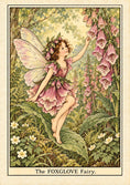 Load image into Gallery viewer, Foxglove Fairy Floral Birthday Card for Daughter
