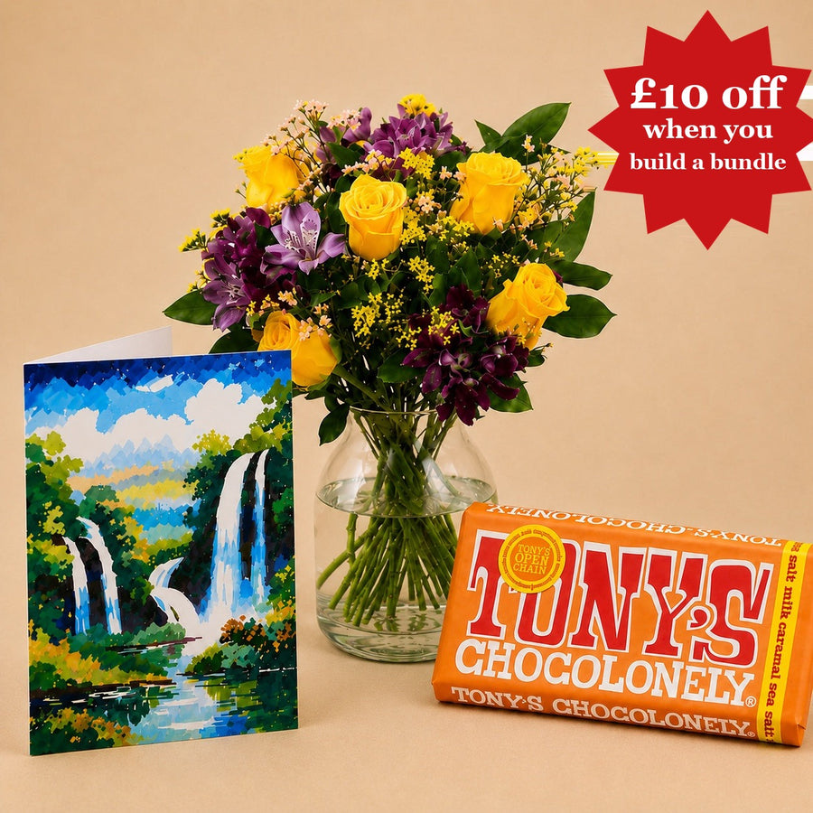 The Brownie Points Bundle