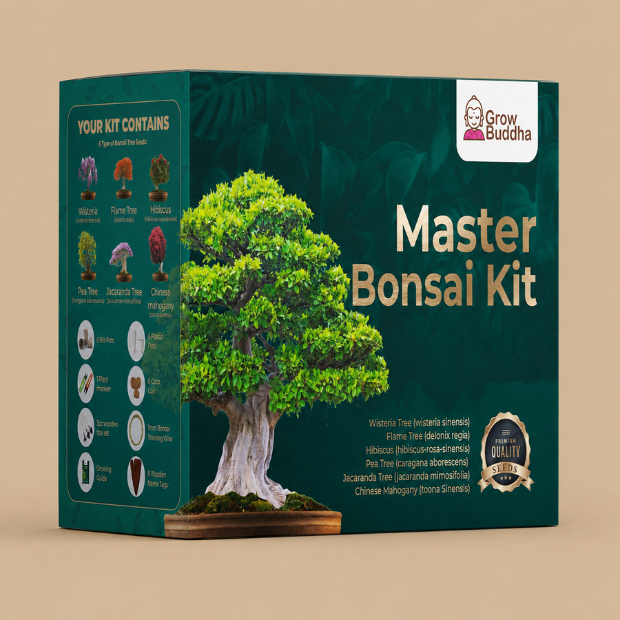 Grow Buddha Master Bonsai Kit